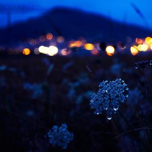 The Things We Do to Escape