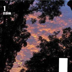 候鸟遗失的羽毛