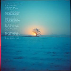 Where the Wind Forgets