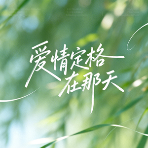 不曾想过要逃离