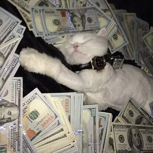 做我的猫 (女声版)