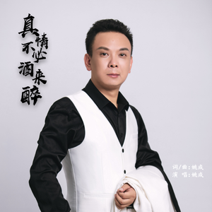 真情不必酒来醉 (DJ版)