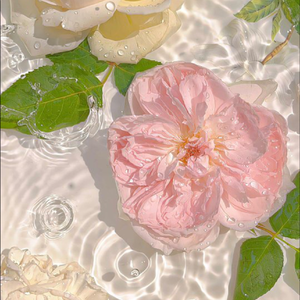 就算世界无童话4