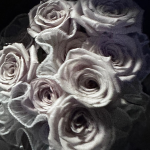 秋刀鱼不过期_1714015579351