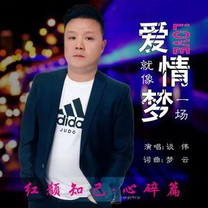 爱情就像一场梦 伴奏