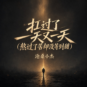 扛过了一天又一天(熬过了苦却没等到甜)