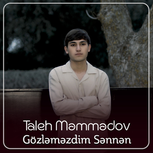 Gözləməzdim Sənnən