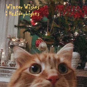 Midnight in December