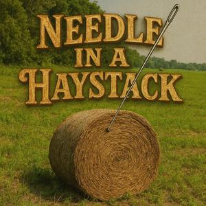 Needle in a Haystack