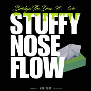 Stuffy Nose Flow (feat. 5olo)