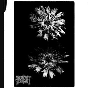 Collapsed in the Garden