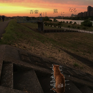 吾輩は猫になる