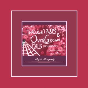 Those Who Wander through Webs Are Not Always Lost (Danny)