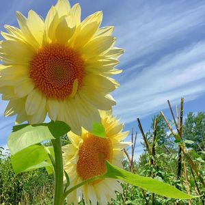 下一秒-（cover 张碧晨）