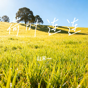 荷叶连连