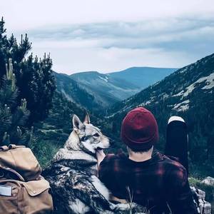 安康city（cover version）