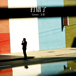 打错了（Cover:王菲）