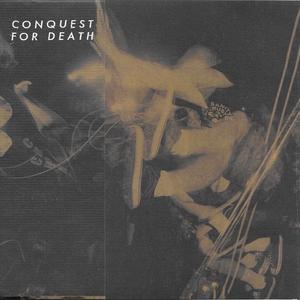 It Seems the Whole World Should Be Her Enemy