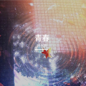 用四季孤勇换你一秒心动