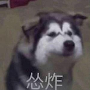 100（翻子tizzyt）