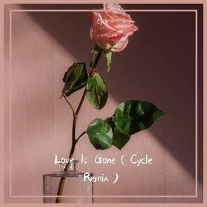 SLANDER-Love is Gone（Cycle remix）