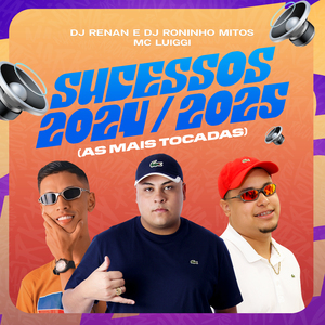 Sucessos 2024 / 2025 (As Mais Tocadas)