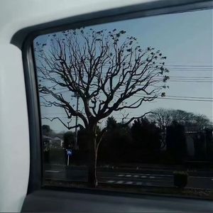 “告别” 慢速版（Slow Version)