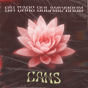 Bir Çare Bulamıyorum