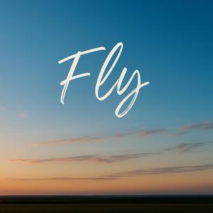 Fly