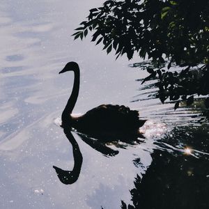 尽管如此，还是