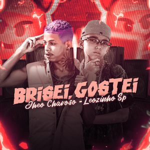 Brisei Gostei (brega funk)