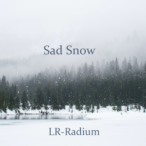 不会再对陌生人抱有一丝期望了