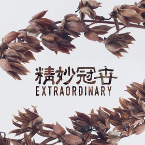 梅里 (Mainri) _ (鲜花调rework)