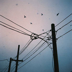 내일도 여기서 만나