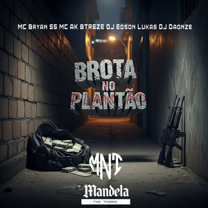 Brota no Plantão (Slowed + Reverb)