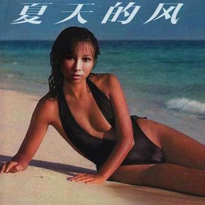 温岚-夏天的风1988（羊真闲 remix）