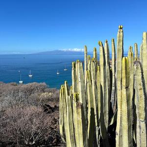 sauberen flötenheini