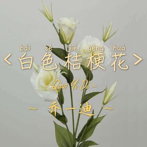 白色桔梗花！（翻自 深七）