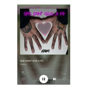 She Don't Give a FO (Remix)