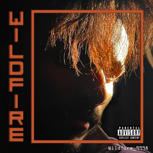 Wildfire