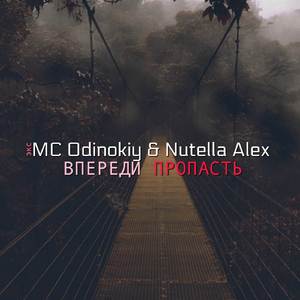 Впереди пропасть