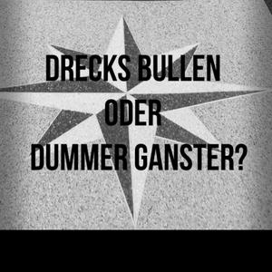 Drecks Bullen oder doch Dummer Ganster? (feat. Вано1828 & Ms.DariaD)