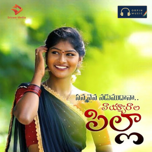 Sannanaina Nadumudhana Vayyarala Pilla DJ