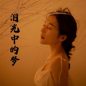 泪光中的梦