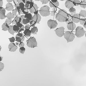 有趣周日的早午餐情怀