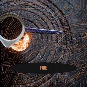 Ronnie Hawkins Southern Love