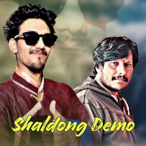 Shaldong Demo