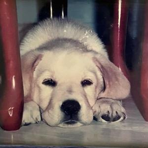 dad forgot what my laugh sounds like