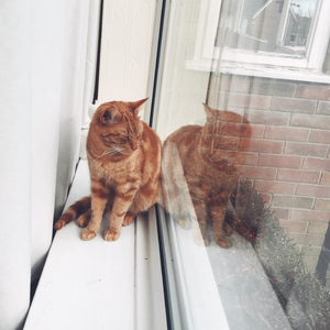 winter districts (~)