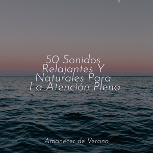 El Hechizo Hipnotizante del Atardecer Místico